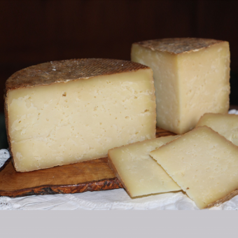 Sheep aged "Campos Goticos"